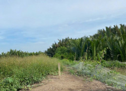 CHÍNH CHỦ CẦN BÁN 1000m² ĐẤT ĐẸP – CÁCH ĐƯỜNG RỪNG SÁC CHỈ 400M – BÌNH KHÁNH, CẦN GIỜ