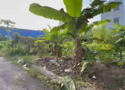 Bán đất tuyến 3 chung cư Văn Cú An Dương Hải Phòng