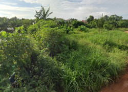 Đất Mặt tiền SHR HXH 1194m2 – Đông Thạnh 2-5 Hóc Môn