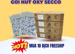 Cách Bảo Quản Gói Hút Oxy Secco Chuyên Dùng Bảo Quản Thực Phẩm Khô