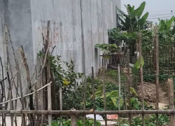 Đất bãi huyện Vân Tra An Dương Hải Phòng