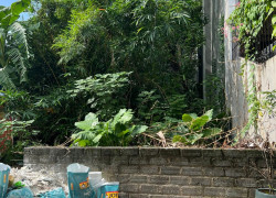 Bán đất chapi Cái Tắt An Dương Hải Phòng