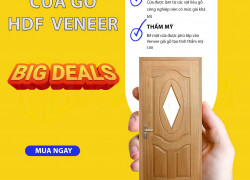 Cửa Gỗ HDF – Đẹp Gọn, Bền Lâu, Giá Hợp Lý