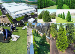 Thiết kế thi công thảm cỏ cây xanh KCN Bình Dương – MIỄN PHÍ KHẢO SÁT THIẾT KẾ