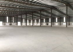 CHO THUÊ NHÀ XƯỞNG 13.000m² TẠI CẨM GIÀNG – HẢI DƯƠNG PCCC tự đ ộng