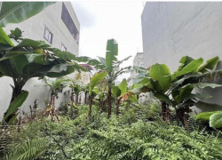 Bán gấp lô đất Phúc Lợi, Long Biên