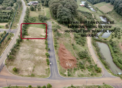 Sở hữu ngay khu đất biệt thự đồi sinh thái 256.6 m² – Hít thở không khí trong lành mỗi ngày tại Bảo Lộc