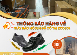 Thông báo hàng về tháng 11 – Giày bảo hộ xịn đã có tại ECO3D!