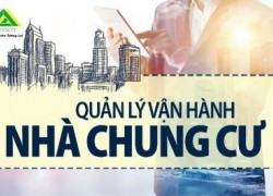 LEXICO - Đơn vi chuyên tư vấn quản lý vận hành  chung cư tại Hải Phòng