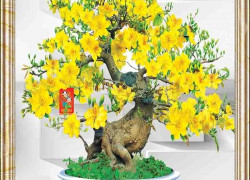 Tranh gạch 3d hoa mai - gạch tranh 3d hoa mai - SZX5