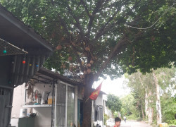 Căn nhà 30m² cực rẻ chỉ 320ty Phường Thạnh Xuân Quận 12