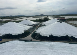 POLITIV ISRAEL – GIẢI PHÁP CHO NHÀ MÀNG NUÔI TÔM CÔNG NGHỆ CAO