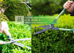 Dịch Vụ Chăm Sóc Cảnh Quan KCN Nhơn Trạch Đồng Nai Trọn Gói – Tối Ưu EHS & Tiết Kiệm Chi Phí! DPL