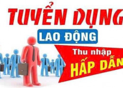 Tuyển Nữ lắp ráp linh kiện điện tử, cơ khí nhỏ làm tại Long An cũ