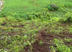 ✅ Bán mảnh đất tại xã Phúc Xuân (Đại Phúc Mới), T.Thái Nguyên.