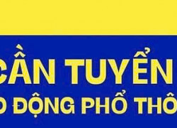 Tuyển 4 LĐPT NAM ngành bao bì giấy, thợ phụ làm tại Bình Tân