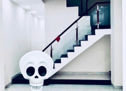 Cho thuê nhà NC HXH 40 Đường số 898, trục Nguyễn Duy Trinh, P.Phú Hữu - 4*14; 2 lầu; 8,5tr/tháng