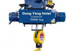 Palang cáp Hàn Quốc tải 1 tấn DONGYANG dầm treo