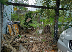 🌟 BÁN ĐẤT MẶT TIỀN TRƯỜNG CHINH – GIÁ CHỈ 3,65 TỶ!