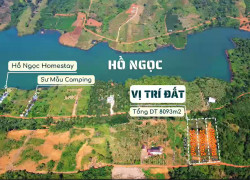 LÔ LỚN 2.594M² CÓ 700M² THỔ CƯ – VIEW HỒ NGỌC – GIÁ CHỈ 3,5 TRIỆU/M²