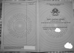 Bán đất giá rẻ  1314m2 18tỷ Tân Bửu Bến Lức Long An