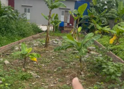 Bán đất 115m2 Vĩnh Khê An Dương Hải Phòng