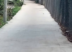 Kẹt vốn bán nhanh lô đất đường Nguyễn Trung Trực 122m2 TTTT Bến Lức – SHR – 2 tỷ 390 triệu