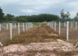 Sở hữu 1 trong 9 lô đất thổ cư “vừa ở – vừa đầu tư” Hiệp Thạnh – Gò Dầu