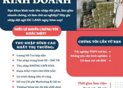 TUYỂN 50 CHUYÊN VIÊN KINH DOANH Q10 Có Lương Cứng + ( HH Bán Hàng + HH Sản Phẩm Lên Đến 75%)