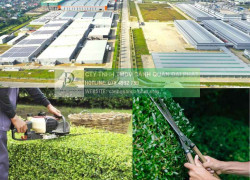 DỊCH VỤ CHĂM SÓC CẢNH QUAN KCN VSIP 1 BÌNH DƯƠNG TRỌN GÓI - GIÁ TỐT NHẤT 2025