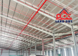 XTAP Xưởng cho thuê ổn định lâu dài, tập chung nhiều CTY Tập Đoàn lớn, giao liền