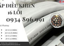 Cáp Tín Hiệu 20X 1.0 mm2 Dùng Trong Hệ Thống Điều Khiển Quy Nhơn, Khánh Hòa, Gia Lai