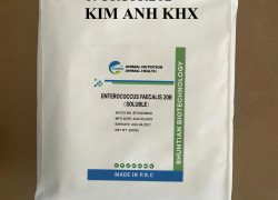 ENTEROCOCCUS FAECALIS 20B (SOLUBLE)