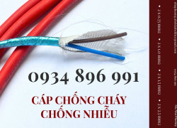 Cáp Chống Cháy Chống Nhiễu 2x2.5 mm2 Chuẩn BS6387, IEC 60331