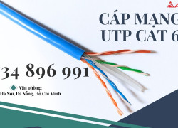 CÁP MẠNG CAT 6 24AWG ĐÀ NẴNG, HUẾ, BÌNH ĐỊNH.