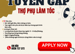 TIỆM TÓC CHỊ ĐÀO CẦN TUYỂN THỢ PHỤ LÀM TÓC