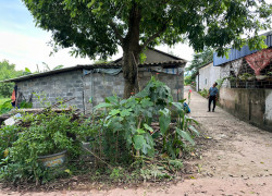 Tại Xóm Đồi Chè, Xã Phúc Trìu (Cũ), T.Thái Nguyên