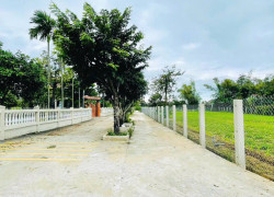 Lô đất nhà vườn 180m2 - sẵn sổ