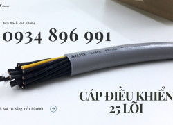 Cáp Tín Hiệu 25X 1.0 mm2 Dùng Trong Hệ Thống Điều Khiển Quy Nhơn, Bình Định, Gia Lai