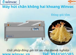 Máy hút chân không hai khoang Winvac SWV 900 LL