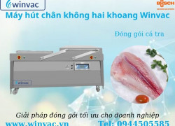 Máy hút chân không hai khoang Winvac SWV 900 SLSL