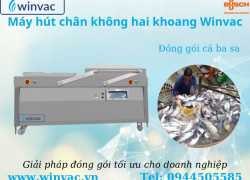 Máy hút chân không hai khoang Winvac SWV 1100 LL