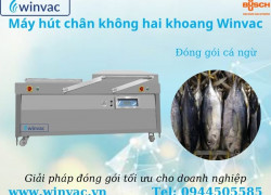 Cho thuê máy hút chân không hai khoang Winvac