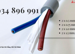 CÁP ĐIỀU KHIỂN 2 LÕI ĐÀ NẴNG – HÀ NỘI – HỒ CHÍ MINH