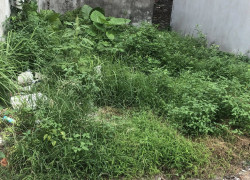 🔥 BÁN ĐẤT TẶNG NHÀ 2 TẦNG TẠI TÁI ĐỊNH CƯ #GIANGBIÊN #VIẸTHƯNG