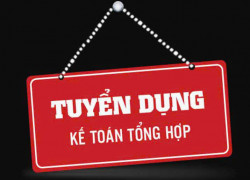 CTY XNK DATIKO VN tuyển kế toán tổng hợp làm ở Bình Thạnh