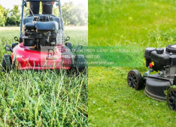 Cắt Cỏ Phát Hoang Giá Rẻ, Chuyên Nghiệp Đồng Nai, TPHCM, Bình Dương, Long An