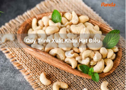 Quy Trình Xuất Khẩu Hạt Điều