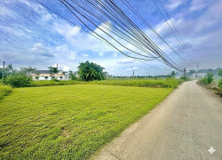 BÁN ĐẤT THỔ CƯ TRUNG TÂM BẾN LỨC – ĐƯỜNG Ô TÔ – SỔ RIÊNG