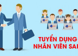 Tuyển 10 NVKD đam mê BĐS ko yêu cầu kinh nghiệm đi làm ngay